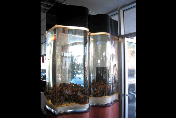 Custom acrylic fish tank
